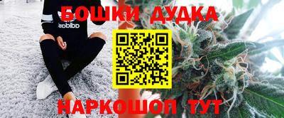 гидра Заводоуковск