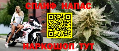гидра Заводоуковск