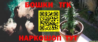 гидра Заводоуковск