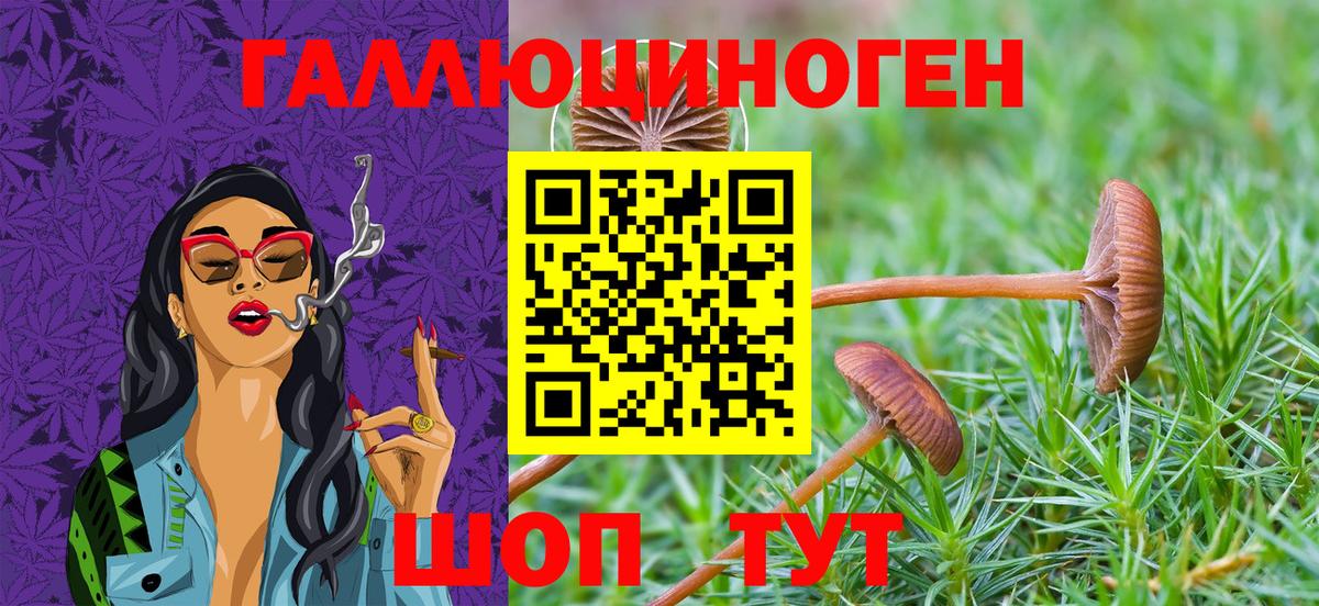 Лянтор  Галлюциногенные грибы ЛСД  Вход с VPN 
